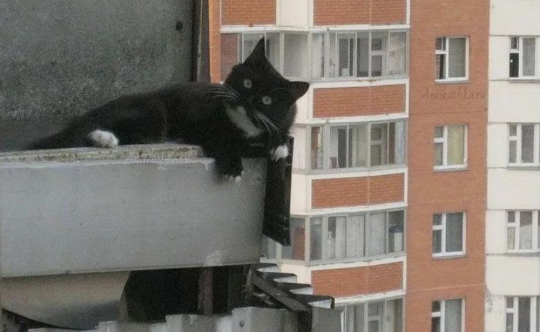 Защита незастеклённого балкона