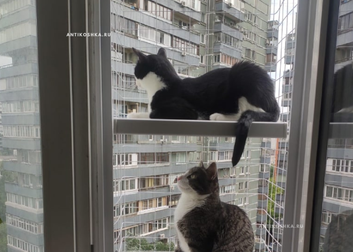 Балкончик для кошки без сверления окна - антикошка